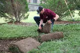 Western Lawn & Landscape LLC photo 2
