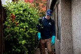 NEVER PESTS PEST CONTROL photo 8