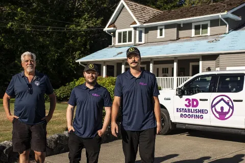 3D Established Roofing photo 1