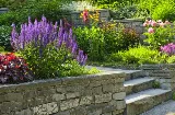 RND Landscape Design Tampa photo 4