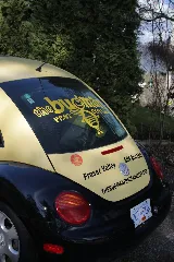 The Bugman Pest Control Services photo 5