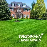 Trugreen Weed Control Of Bismarck photo 2