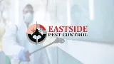 Eastside Pest Control Burnaby photo 4
