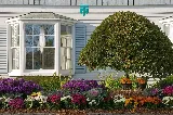 Topnotch Landscaping photo 8