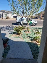 Prime Pest and Lawn - El Paso photo 2