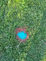 Frontline Pest and Termite of Murfreesboro photo 4