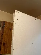 A2Z Pest Control photo 7