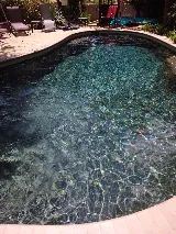 Aqua Oasis Pool Service photo 3