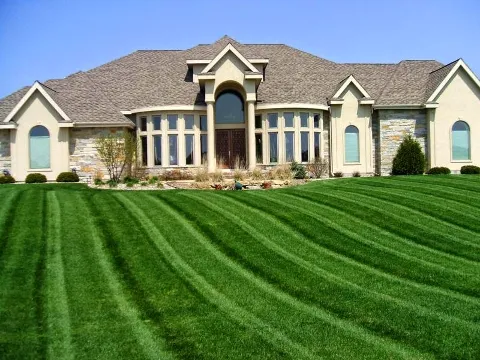 Bruce Landscaping & Maintenance photo 1