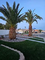 Lara Landscaping photo 5