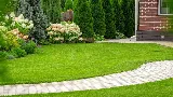 Serene Scenes Lawn and Landscape LLC