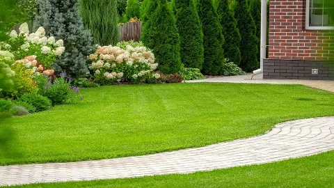 Serene Scenes Lawn and Landscape LLC in Collierville