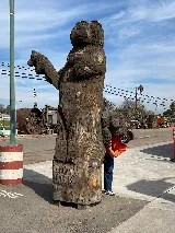 Dewey Pest & Termite Control photo 4