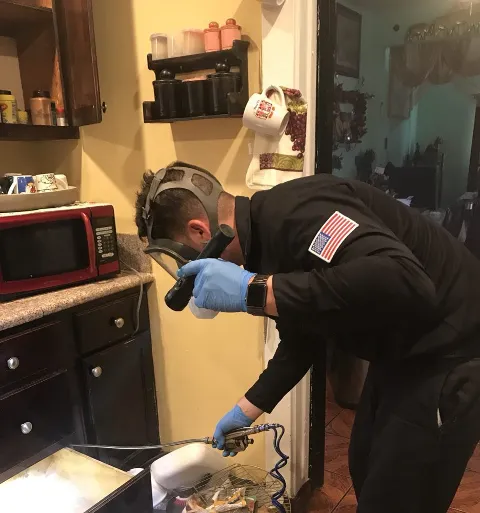 DYNAMIC PEST SOLUTIONS INC. photo 1