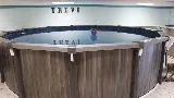 All Seasons Pools and Spas photo 4