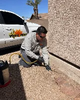 Yuma Pest & Termite Systems photo 2