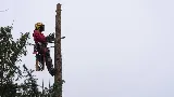 Verified Outdoor Services photo 8