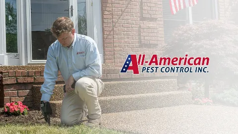 All-American Pest Control in La Vergne