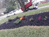 JCS Landscaping Services LLC photo 2