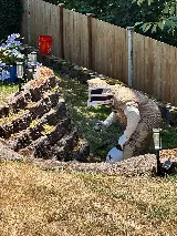 Insight Pest Solutions photo 8