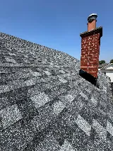Roofing Monkeys