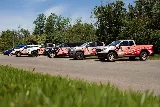 Lady Bugs All Pest Solutions photo 3