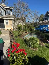 Luis Hernandez Landscaping photo 2