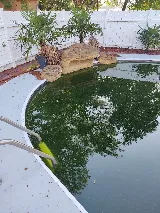 Sunco Pools & Spas photo 7