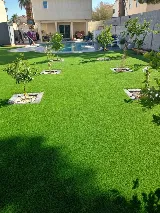 Casa Grande Turf & Paver photo 8