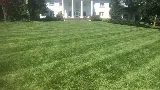 Avanza Landscaping & Maintenance photo 4