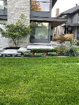 Newfoundlandscape Design & Construction Inc. photo 6