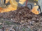 A Vision Landscaping, Lawn Care & Fences LLC photo 5