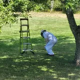 Ehrlich Pest Control photo 4