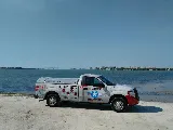 All American Pest Services