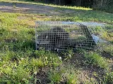 A2Z Pest Control