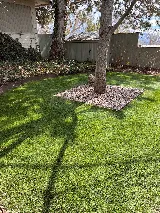 Green Salt Lake Landscaping photo 10