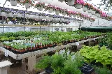 Buckley's Prairie Landscaping
