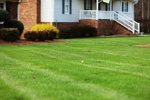 Southern Turf Management photo 1