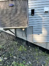 Scotia Pest Solutions photo 7