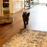 Kirklands Flooring photo 4