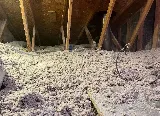Jarrod's Pest Control photo 6