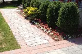 Decarlo Landscape Design & Maintenance photo 6