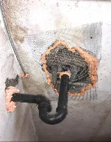 Alley Cat - Rodent Exclusion Company photo 2