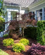 Flora Landscapes