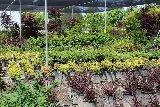 Grover Landscape Services Inc photo 7