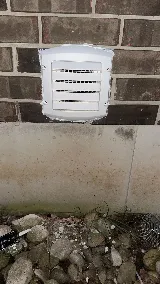 Pestro Pest Control photo 8