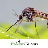 EnviroGuard Pest Control photo 5