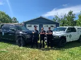 Domtech Pest Control Inc photo 2