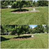 Lawn Firm photo 8