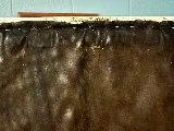 Brown Reclusinator Pest Control photo 4